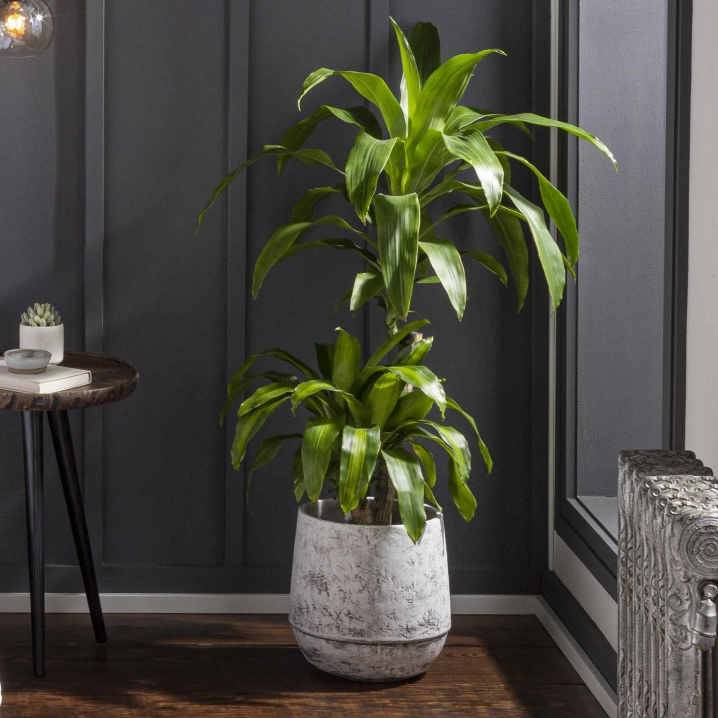 Loftcore Industrial Cement Planter