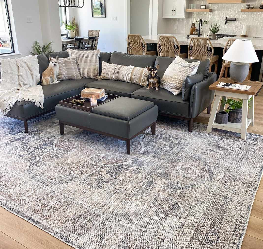 Manon Washable Area Rug-1